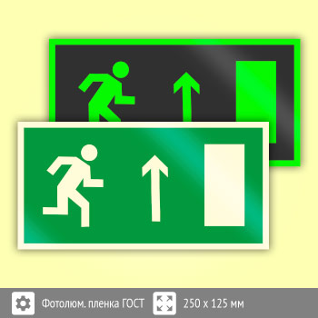 Знак E11 «Направление к эвакуационному выходу прямо (правосторонний)» (фотолюминесцентная пленка ГОСТ Р 12.2.143–2009, 250х125 мм)